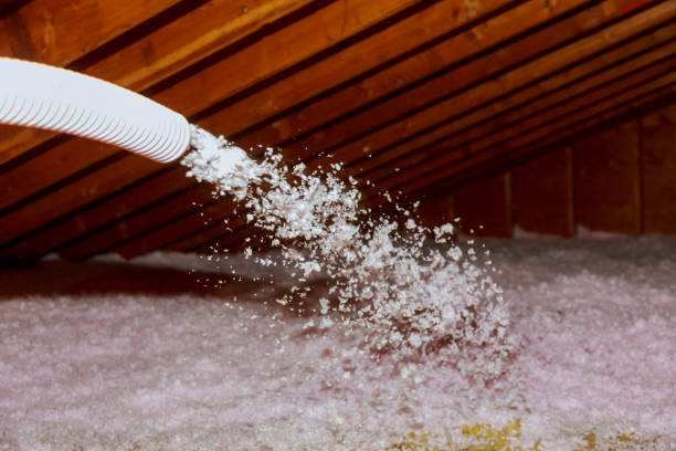 Best Geographic-Specific Insulation Services in Shady Side, MD