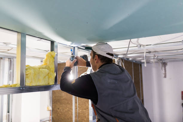 Best Eco-Friendly Insulation in Shady Side, MD