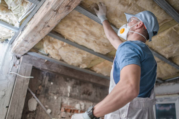 Best Residential Insulation in Shady Side, MD
