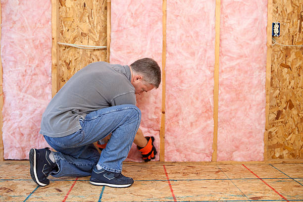 Best Specialized Insulation Services in Shady Side, MD