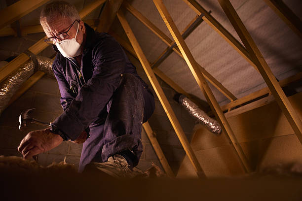 Best Commercial Insulation in Shady Side, MD