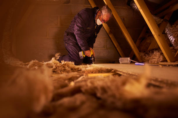 Types of Insulation We Offer in Shady Side, MD